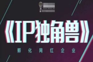 IP独角兽，孵化网红企业，ip教程-麦资源网
