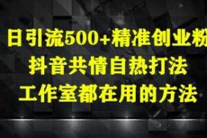 日引流500+精准创业粉，抖音共情自热打法，工作室都在用的方法-麦资源网