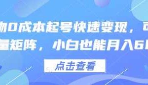 得物0成本起号快速变现，可批量矩阵，小白也能月入6k-麦资源网