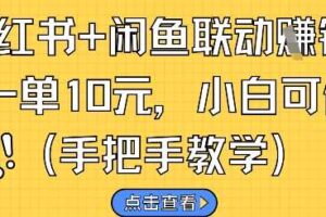 小红书+闲鱼联动挣钱，一单10元，小白可做-麦资源网