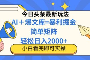 （14848期）今日头条2025最新蓝海玩法，操作简单，矩阵批量，轻松日入2000+-麦资源网