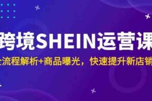 跨境SHEIN运营课，全流程解析+商品曝光，快速提升新店销量-麦资源网