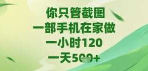 你只管截图，一部手机在家做，苹果安卓都可以，一天5张+【揭秘】-麦资源网