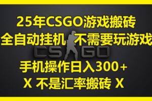 （14902期）25年CSGO游戏搬砖，全自动挂机，不需要玩游戏，手机操作日入300+。(不…-麦资源网