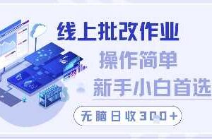线上批改作业，操作简单新手小白首选，无脑日收300+【揭秘】-麦资源网