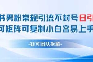 小红书男粉常规引流不封号日引99+变现简单 可矩阵可复制小白容易上手-麦资源网