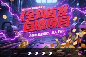 全网首发，2025年最新稳定暴力全自动自撸项目，无限制批量操作，日入多张【揭秘】-麦资源网