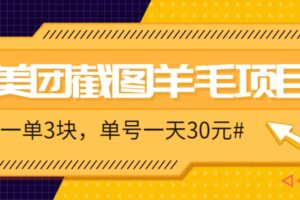 M团截图项目，一单3块！单号一天保底10元，最高30元！2-3分钟即可完成一单-麦资源网