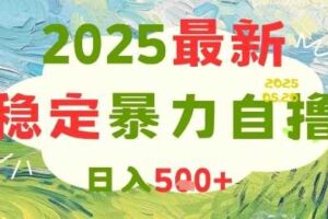 2025最新暴力自撸项目，日入5张+，可矩阵操作【揭秘】-麦资源网