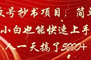 公众号抄书项目，简单粗暴，小白也能快速上手，有人一天搞了1k+-麦资源网