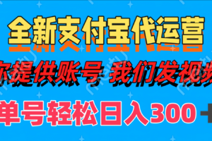 全新支付宝代运营你提供账导 我们发视频单号轻松日入300+-麦资源网