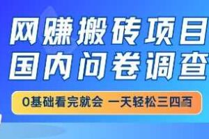 网创搬砖项目，国内问卷调查，小白轻松上手，一天三四张的也不难，干就完了【揭秘】-麦资源网
