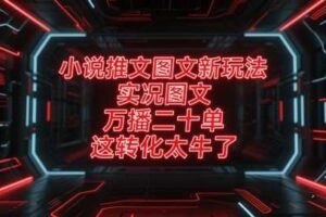 小说推文图文新玩法，实况图文，万播二十单，这转化太牛了！-麦资源网