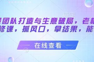 流量团队打造与生意破局，老板流量必修课，抓风口，拿结果，能落地-麦资源网
