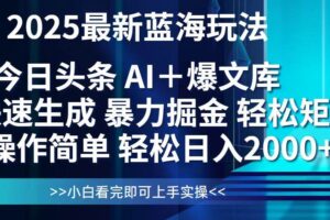 （14805期）今日头条2025最新蓝海玩法，思路简单，复制粘贴，轻松实现矩阵日入2000+-麦资源网