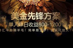 （14761期）免费技术！小众赛道！一年布局抵三年努力，每日800+-麦资源网