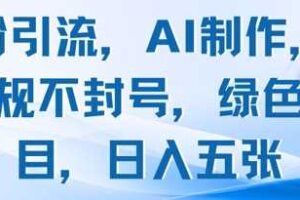 男粉引流，AI制作，不违规不封号，绿色项目，日入五张-麦资源网