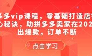 拼多多vip课程，零基础打造店铺的核心秘诀，助拼多多卖家在2025卖出爆款，订单不断-麦资源网