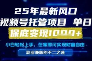 25年最新风口，视频号托管项目，单日保底变现1k+，手把手教学【揭秘】-麦资源网