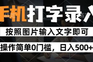 纯手机打字录入项目，按照图片的字输入即可 ，操作简单零门槛24小时都可以做-麦资源网