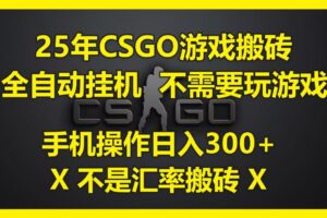 25年CSGO游戏搬砖，全自动挂机，不需要玩游戏，手机操作日入300+。(不是汇率搬砖)-麦资源网