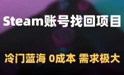 Steam账号找回项目，冷门蓝海，*，需求极大