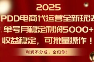 （14839期）2025PDD电商代运营全新玩法，单号月稳定利润5000+，收益稳定，可批量操作-麦资源网