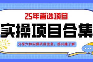 (14767期)2025年实操六大项目实操演练,挂机类型,AI直播类型,轻资产创业类型,…-麦资源网