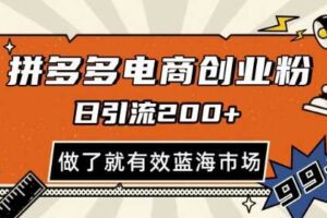 拼多多引流电商创业粉，日引200+，可矩阵放大，做了就有效【揭秘】-麦资源网