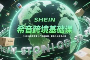 希音跨境基础课,SHEIN希音卖家入门实操指南,新手入坑希音必看-麦资源网