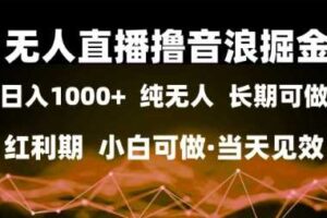 无人直播撸音浪掘金，日入1k+，纯无人红利期，小白可做，当天见效【揭秘】-麦资源网