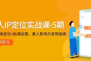 个人IP定位实战课-5期，3步精准定位+私域运营，素人影响力变现指南-麦资源网