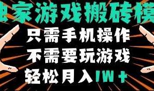 独家游戏搬砖模式，单手机即可操作，全自动挂机，无需玩游戏，月入1W+【揭秘】-麦资源网