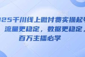 2025千川线上微付费实操起号课，流量更稳定，数据更稳定，百万主播必学-麦资源网