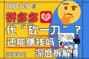 【2025最新】拼多多代坎助力项目深度拆解：还能挣钱吗?全流程玩法-麦资源网