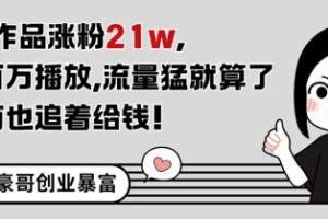 11条作品涨粉21W，条条百W播放，流量猛就算了，广告商也追着给钱-麦资源网