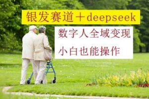 银发赛道+deepseek数字人全域变现，小白也能操作-麦资源网