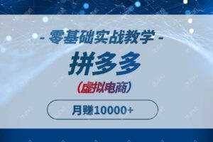 （14880期）拼多多虚拟电商，零基础实战教学，快速打爆商品，新手也能月入10000+-麦资源网