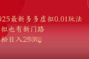 2025最新多多虚拟0.01玩法！虚拟也有新世界，轻松日入1k+-麦资源网