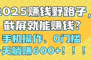 （14771期）2025赚钱野路子，截屏就能赚钱？手机操作0门槛，一天躺赚600+！！！-麦资源网