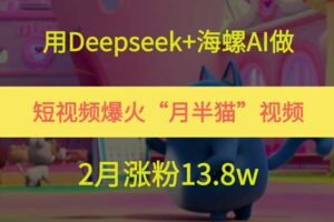 用Deepseek+海螺AI做短视频爆火“月半猫”视频，2月涨粉13.8w-麦资源网