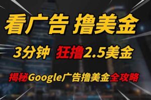 (14701期)看广告,撸美金!!3分钟赚2.5美金!!日入200美金不是梦!揭秘Google…-麦资源网