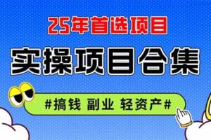 (14767期)2025实操项目合集 挂机类型 直播类型 轻资产创业类型 课程分享各项目介…-麦资源网
