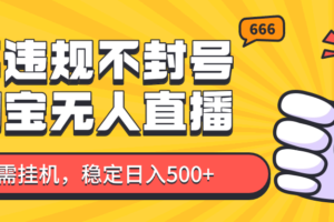 淘宝无人直播最新玩法，不违规不封号，只需挂机，稳定日入500+，新手也能当天开单！-麦资源网