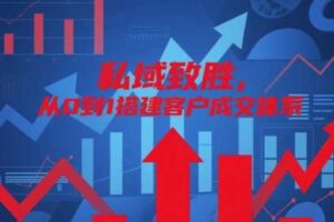 私域致胜，从0到1搭建客户成交体系-麦资源网