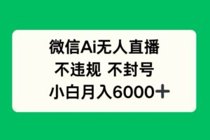 （14733期）微信AI无人直播，不违规 不封号 ，小白月入6000+-麦资源网
