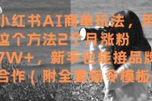 小红书AI商单玩法，用这个方法2个月涨粉7W+，新手也能接品牌合作(附全套指令模板)-麦资源网