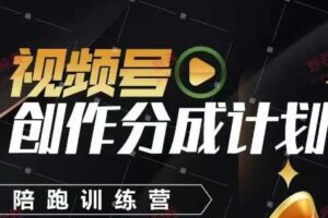 视频号创作分成计划陪跑训练营，手把手教会你如何制作视频，细水长流型项目-麦资源网