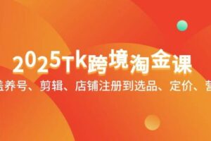 （14638期）2025Tk跨境淘金课：涵盖养号、剪辑、店铺注册到选品、定价、营销等-麦资源网