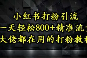 小红书打粉引流，一天轻松500+精准流量，大佬都在用的打粉教程-麦资源网